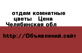 отдам комнатные  цветы › Цена ­ 1 - Челябинская обл.  »    